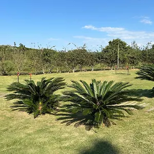 Apartamento Do Campeche, Florianópolis